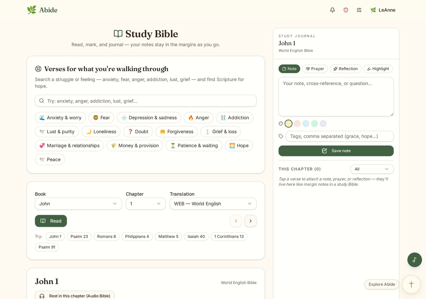 The Abide study Bible with margin notes and a verse journal panel